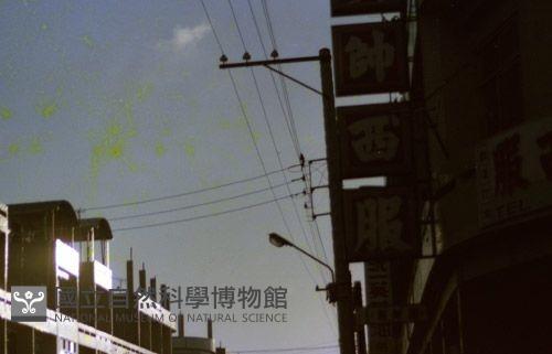 1950至2006年臺灣常民生活藏品圖，第1張