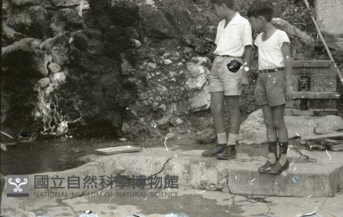 1950至2006年臺灣常民生活藏品圖，第1張