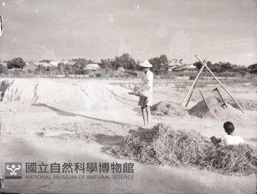 1950至2006年臺灣常民生活藏品圖，第1張