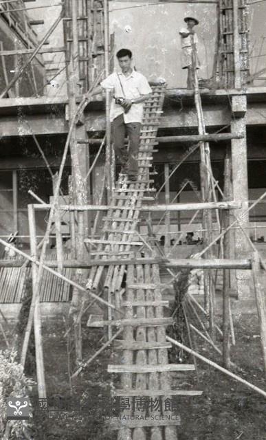 1950至2006年臺灣常民生活藏品圖，第1張