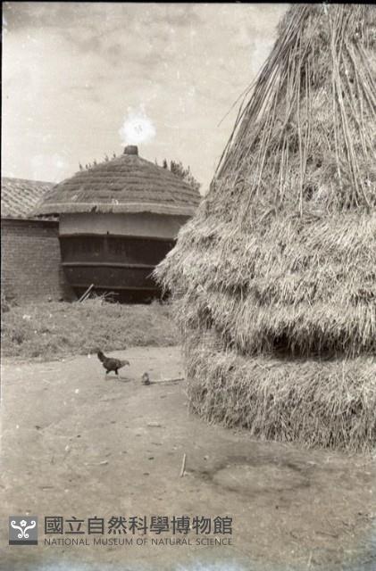 1950至2006年臺灣常民生活藏品圖，第1張