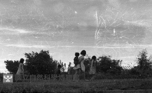 1950至2006年臺灣常民生活藏品圖，第1張