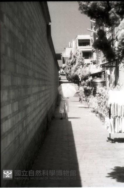 1950至2006年臺灣常民生活藏品圖，第1張