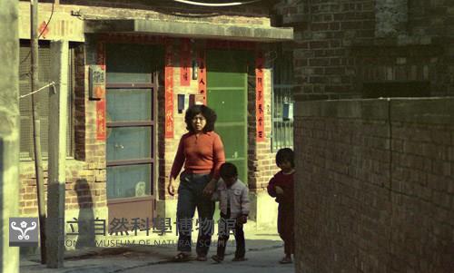 1950至2006年臺灣常民生活藏品圖，第1張