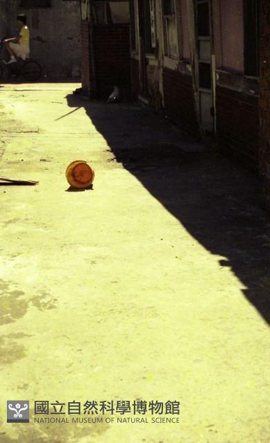 1950至2006年臺灣常民生活藏品圖，第1張