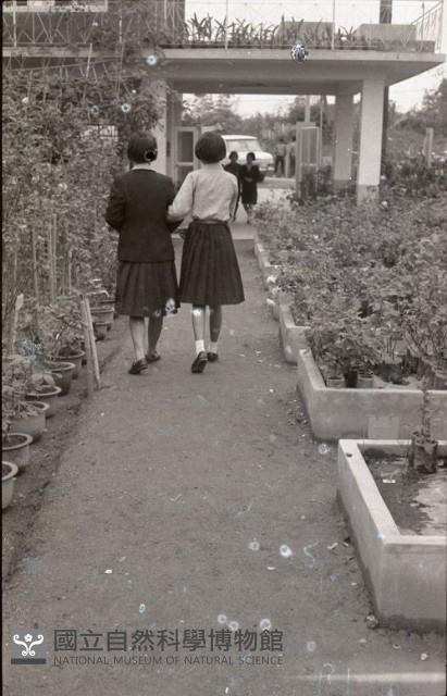 1950至2006年臺灣常民生活藏品圖，第1張