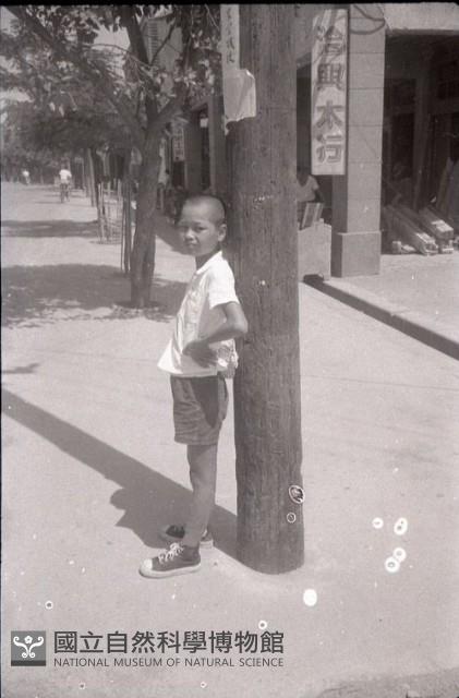 1950至2006年臺灣常民生活藏品圖，第1張