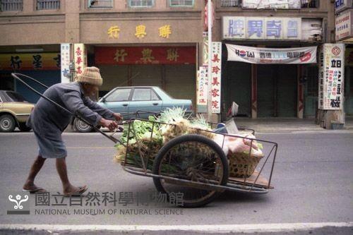 1950至2006年臺灣常民生活藏品圖，第1張