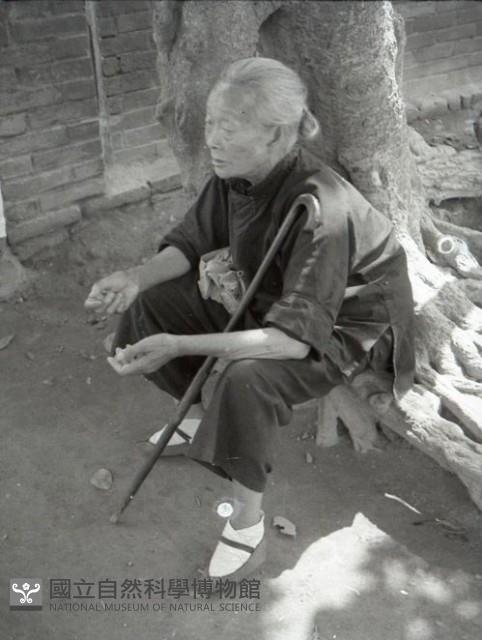 1950至2006年台灣常民生活藏品圖，第1張
