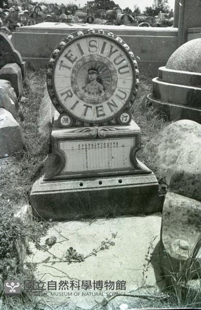 1950至2006年臺灣常民生活藏品圖，第1張