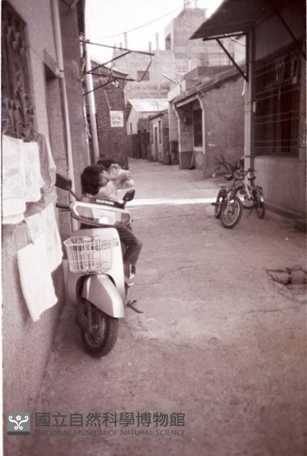 1950至2006年臺灣常民生活藏品圖，第1張