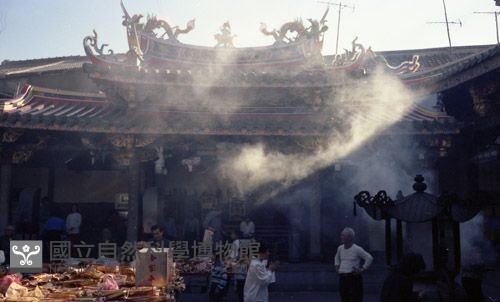 1950至2006年臺灣常民生活藏品圖，第1張