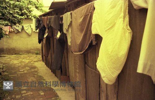 1950至2006年臺灣常民生活藏品圖，第1張