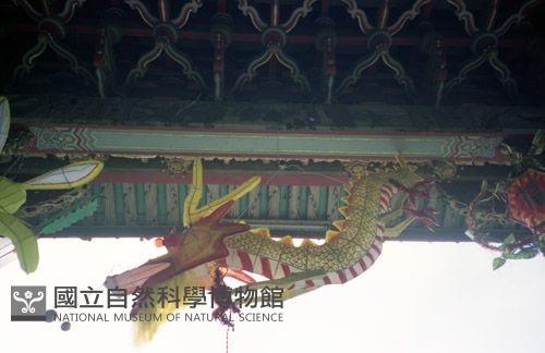 1950至2006年臺灣常民生活藏品圖，第1張