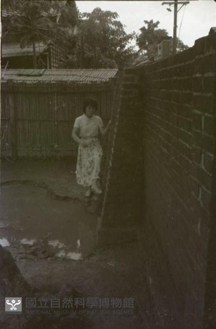 1950至2006年臺灣常民生活藏品圖，第1張