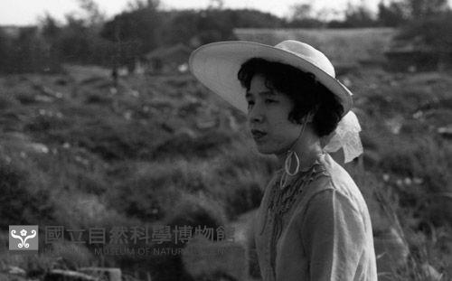 1950至2006年臺灣常民生活藏品圖，第1張