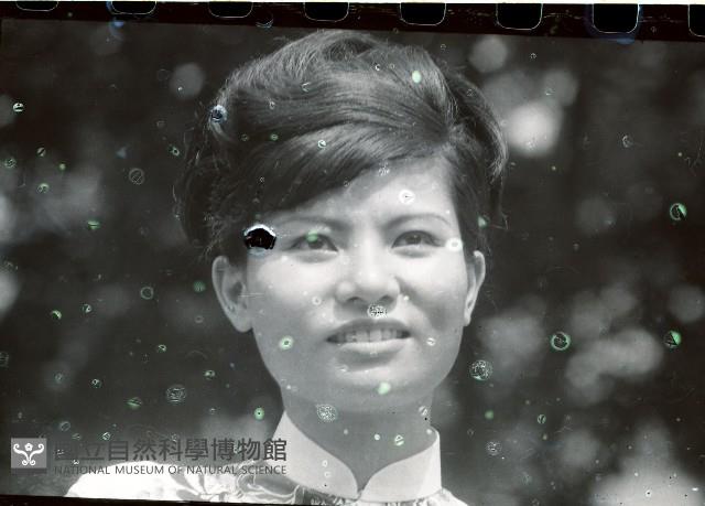 1950至2006年臺灣常民生活藏品圖，第1張