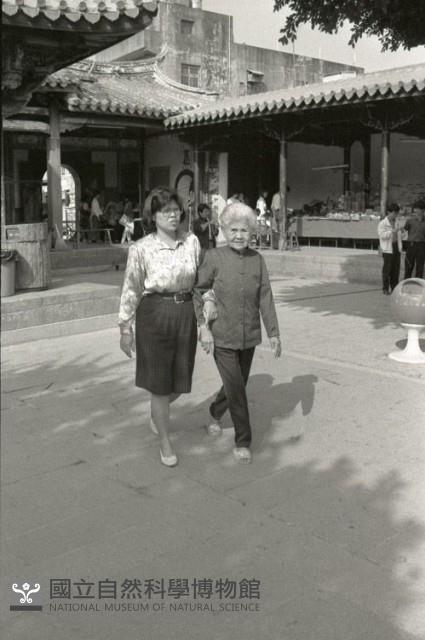 1950至2006年臺灣常民生活藏品圖，第1張