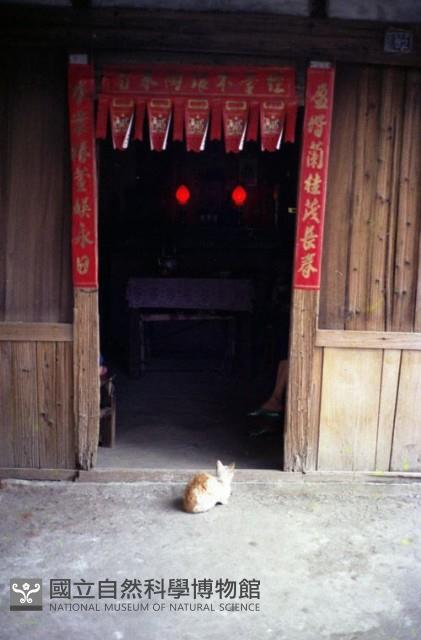 1950至2006年臺灣常民生活藏品圖，第1張