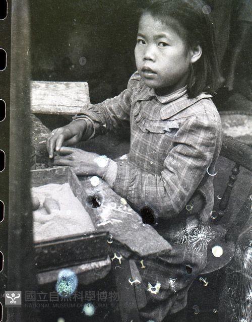1950至2006年臺灣常民生活藏品圖，第1張