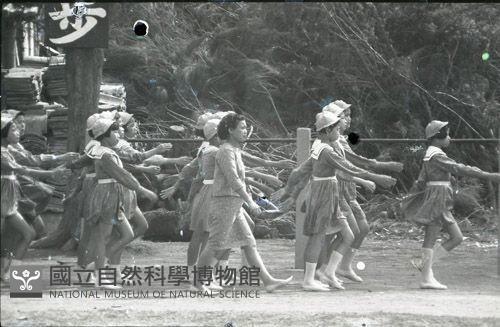 1950至2006年臺灣常民生活藏品圖，第1張