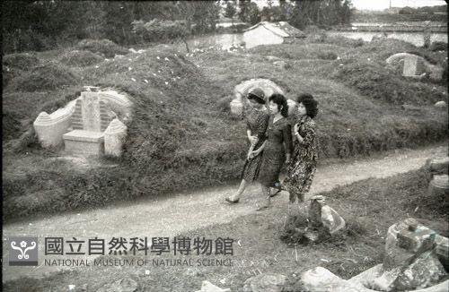 1950至2006年臺灣常民生活藏品圖，第1張