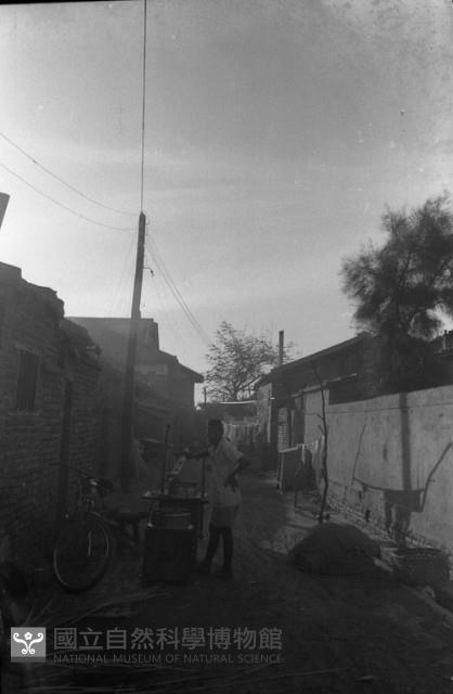 1950至2006年臺灣常民生活藏品圖，第1張