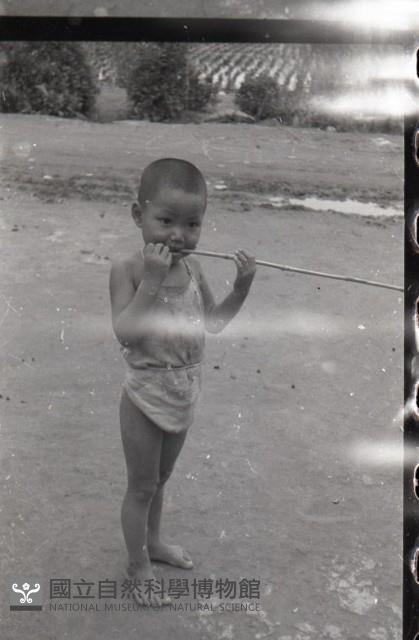 1950至2006年臺灣常民生活藏品圖，第1張