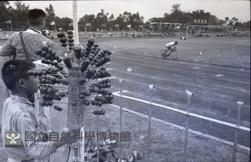 1950至2006年臺灣常民生活藏品圖，第1張