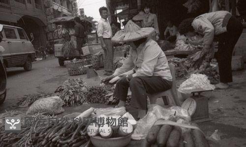 1950至2006年臺灣常民生活藏品圖，第1張