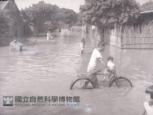 1950至2006年臺灣常民生活藏品圖，第1張