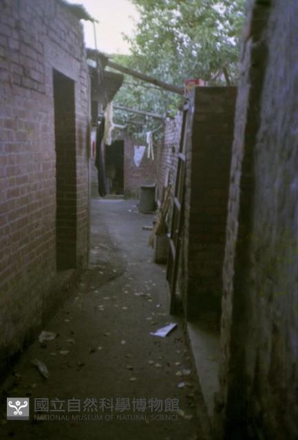 1950至2006年臺灣常民生活藏品圖，第1張