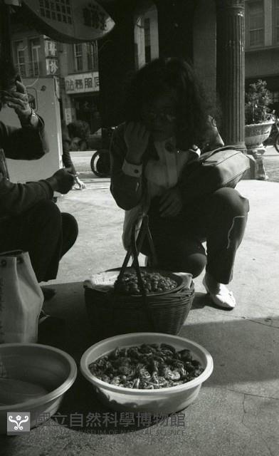 1950至2006年臺灣常民生活藏品圖，第1張