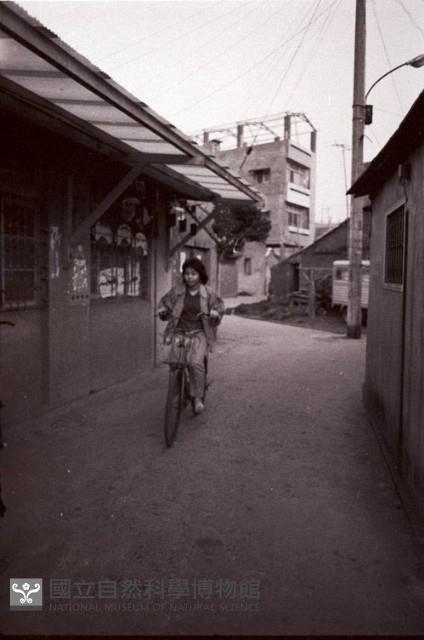 1950至2006年臺灣常民生活藏品圖，第1張