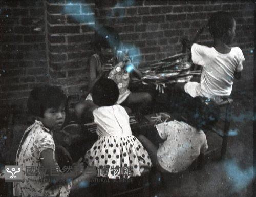 1950至2006年臺灣常民生活藏品圖，第1張