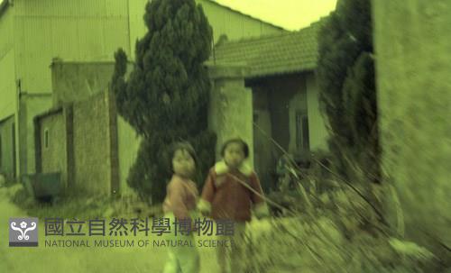 1950至2006年臺灣常民生活藏品圖，第1張