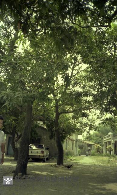 1950至2006年臺灣常民生活藏品圖，第1張