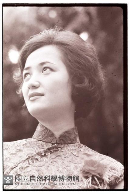 1950至2006年臺灣常民生活藏品圖，第1張