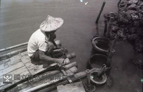 1950至2006年臺灣常民生活藏品圖，第1張