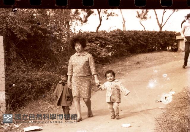 1950至2006年臺灣常民生活藏品圖，第1張