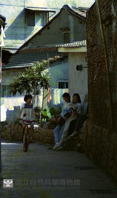 1950至2006年臺灣常民生活藏品圖，第1張