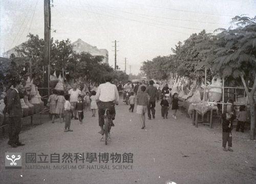 1950至2006年臺灣常民生活藏品圖，第1張