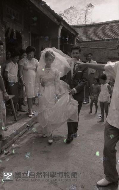 1950至2006年臺灣常民生活藏品圖，第1張