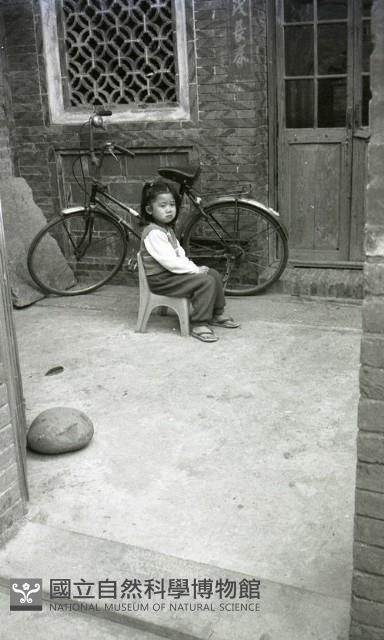 1950至2006年臺灣常民生活藏品圖，第1張