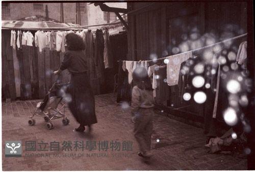 1950至2006年臺灣常民生活藏品圖，第1張