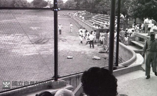 1950至2006年臺灣常民生活藏品圖，第1張