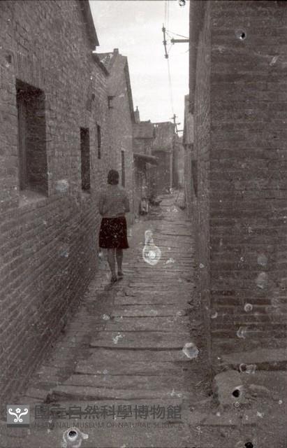 1950至2006年臺灣常民生活藏品圖，第1張