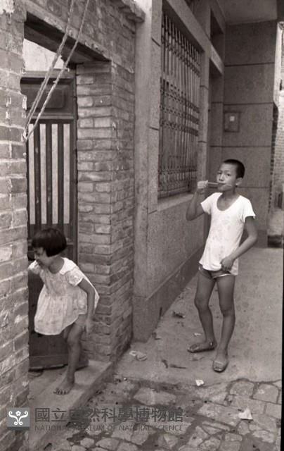 1950至2006年臺灣常民生活藏品圖，第1張