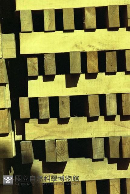 1950至2006年臺灣常民生活藏品圖，第1張