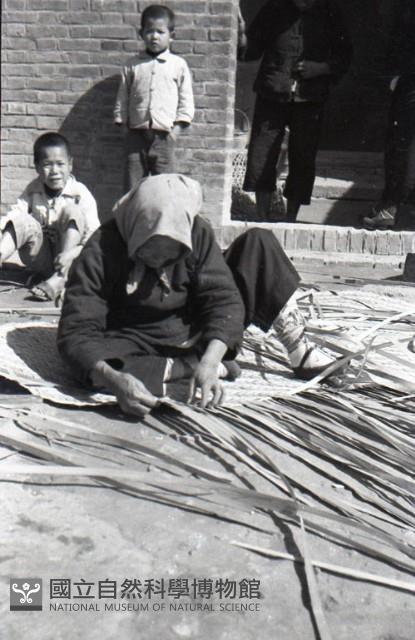 1950至2006年臺灣常民生活藏品圖，第1張